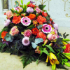 PF Assistance - Composition florale gerbe Lolipop